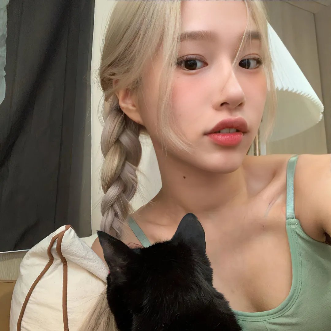 睡觉的笨蛋